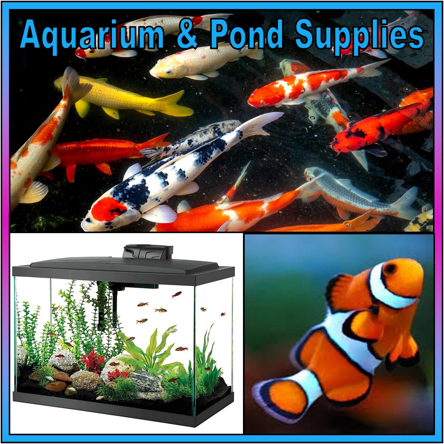 Aquarium & Pond Supplies