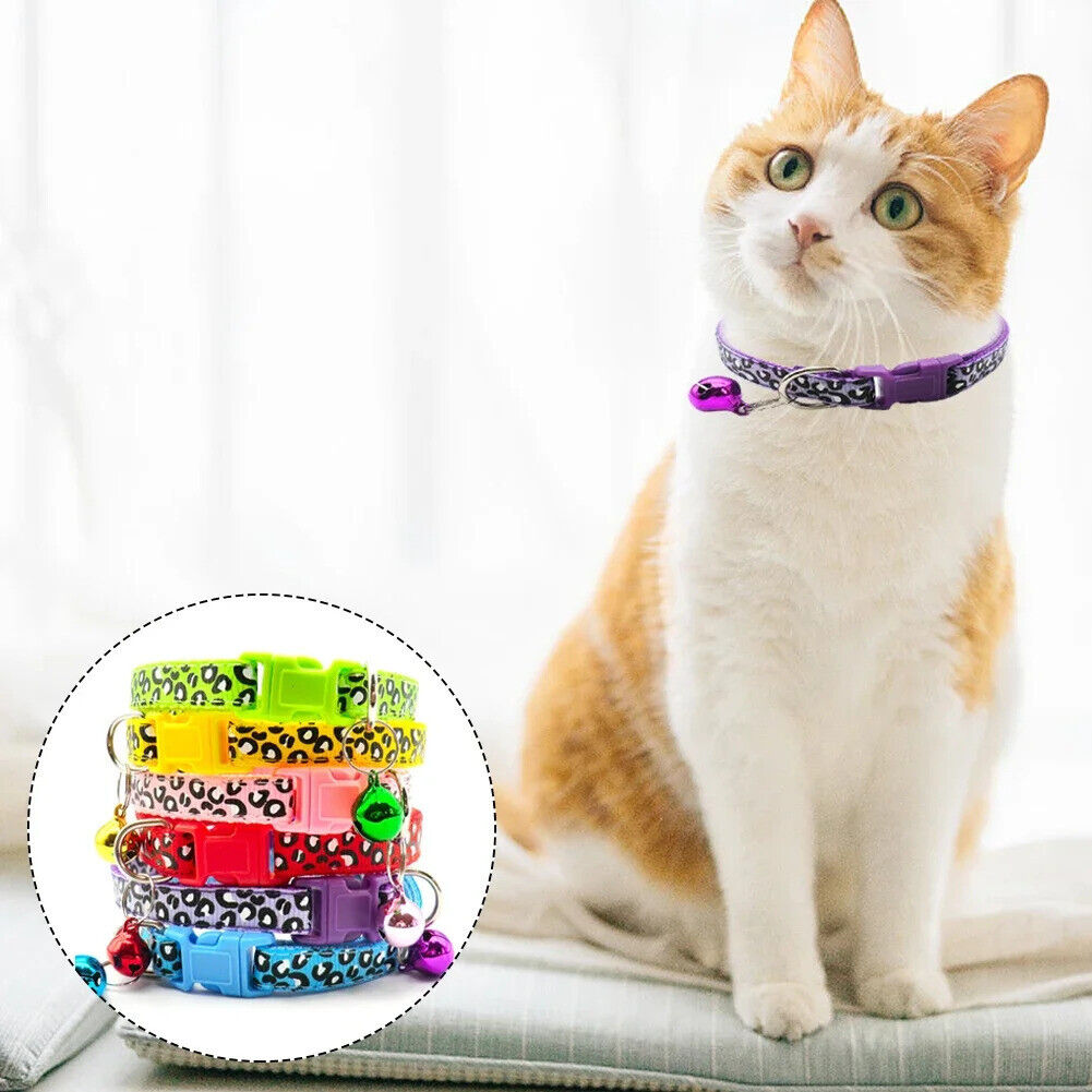 CAT / KITTEN LEOPARD PRINT COLLAR SAFETY COLLAR