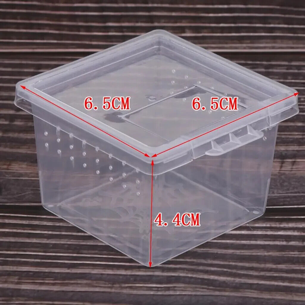 2 SMALL x FILP LID MINI TERRARIUM