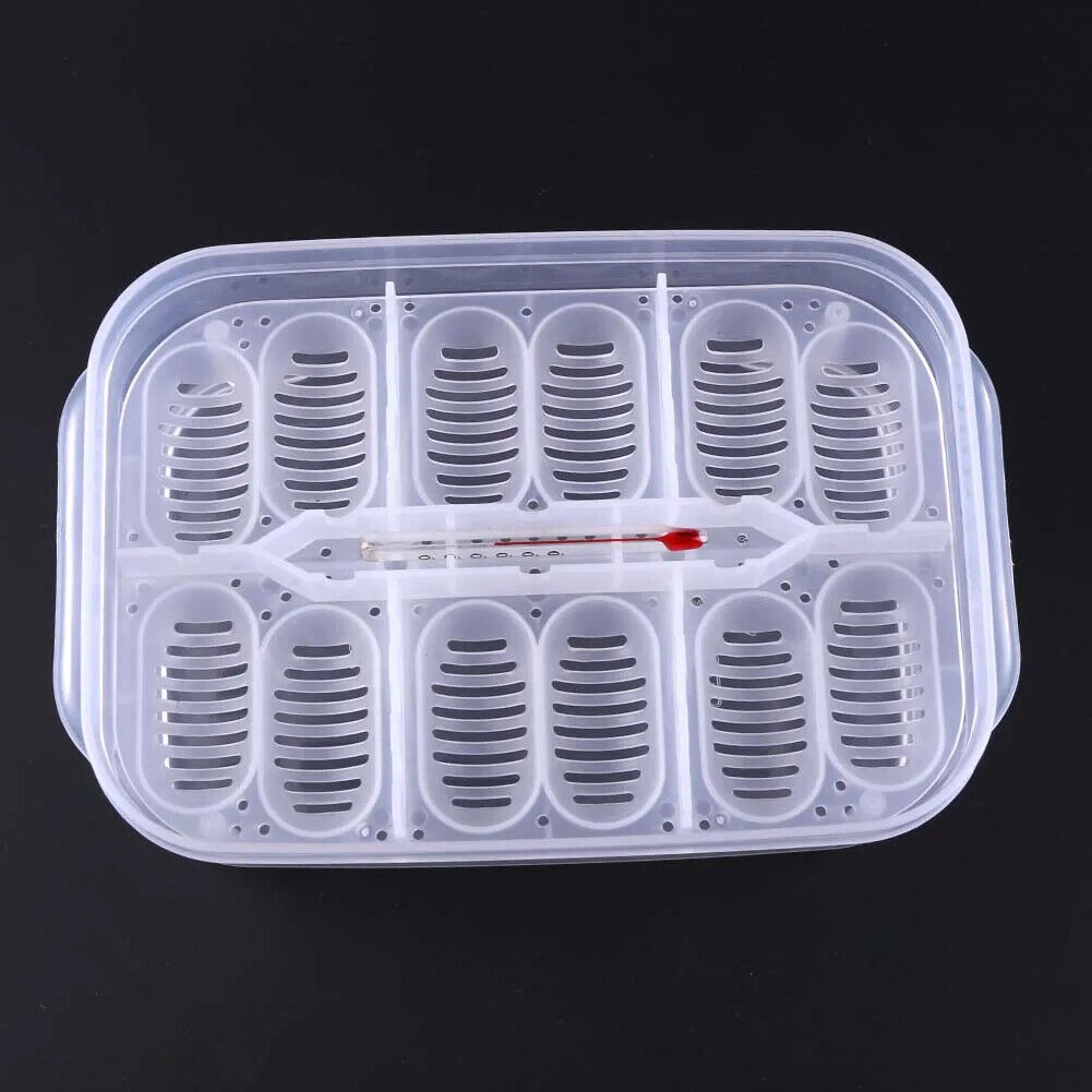 REPTILE / SNAKE EGG INCUBATION BOX 12 & 16 GRID