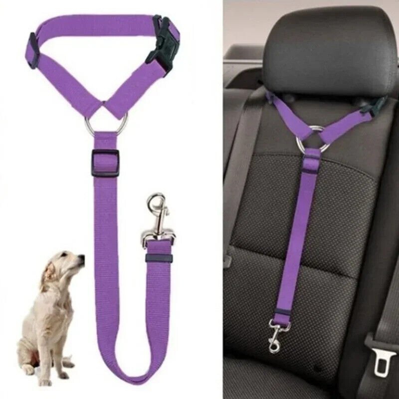 BLACK DOG CAR RESTRAINT