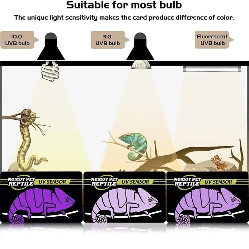 REPTILE UVB BULB TEST CARD