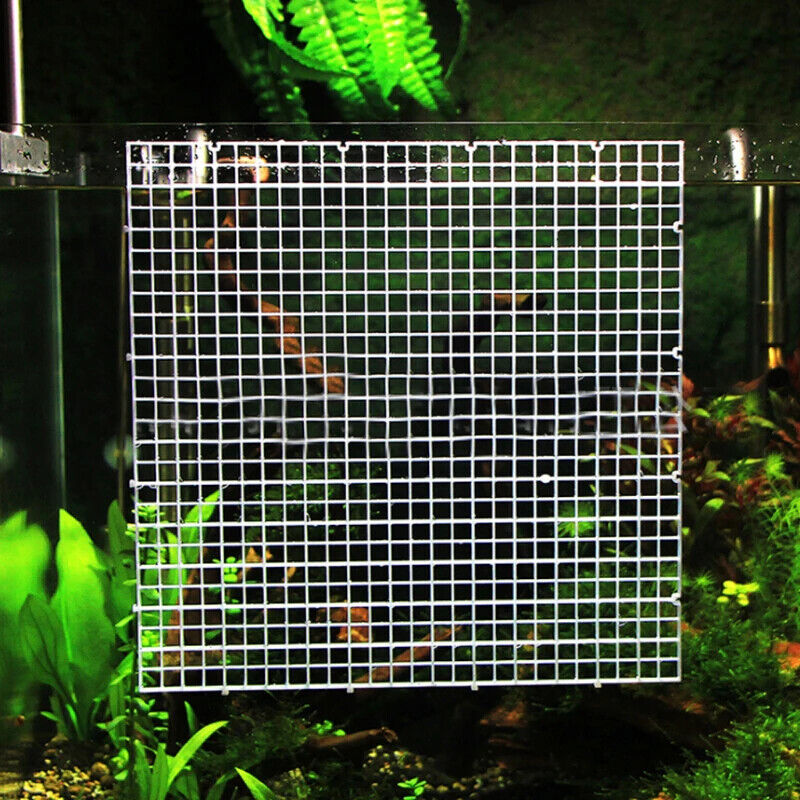 30 x 30cm EGG CRATE, TANK DIVIDER