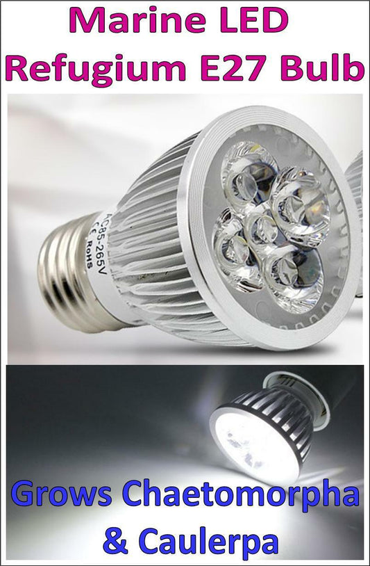 MARINE REFUGIUM LED E27 BULB