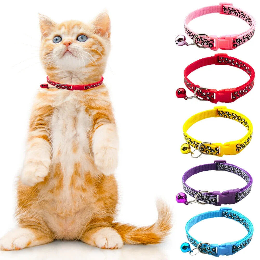 CAT / KITTEN LEOPARD PRINT COLLAR SAFETY COLLAR