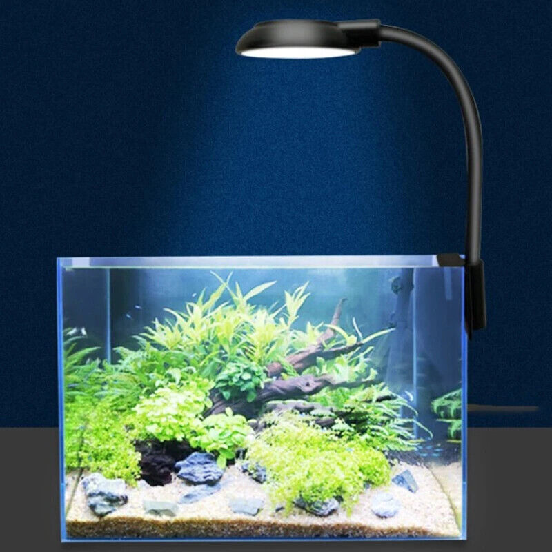 USB 5w LED AQUARIUM CLIP ON LED LIGHT UNIT BLUE & WHITE