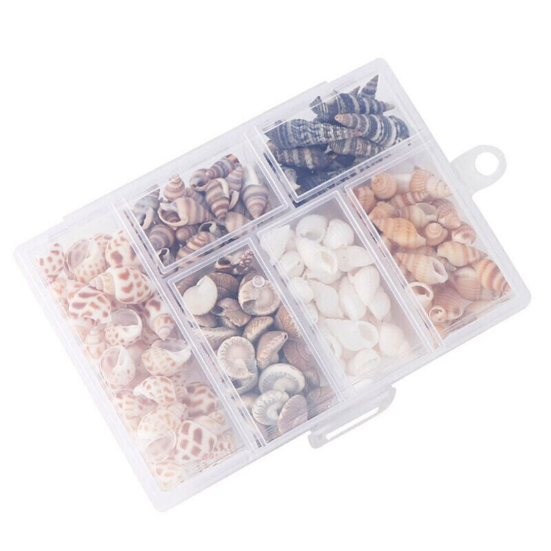 100 x SHELLS IN BOX FOR HERMIT CRABS