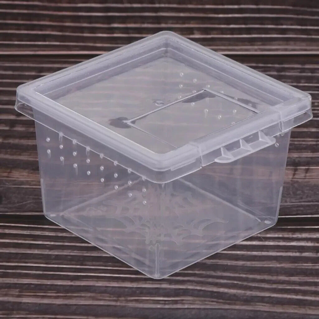 2 SMALL x FILP LID MINI TERRARIUM