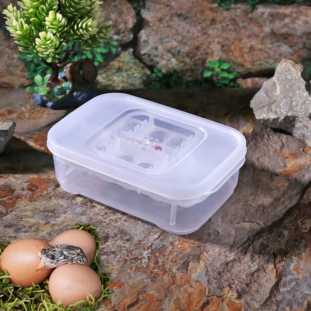 REPTILE / SNAKE EGG INCUBATION BOX 12 & 16 GRID