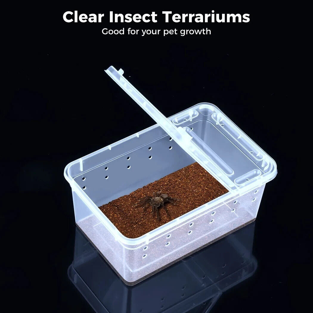 FILP LID MINI TERRARIUM