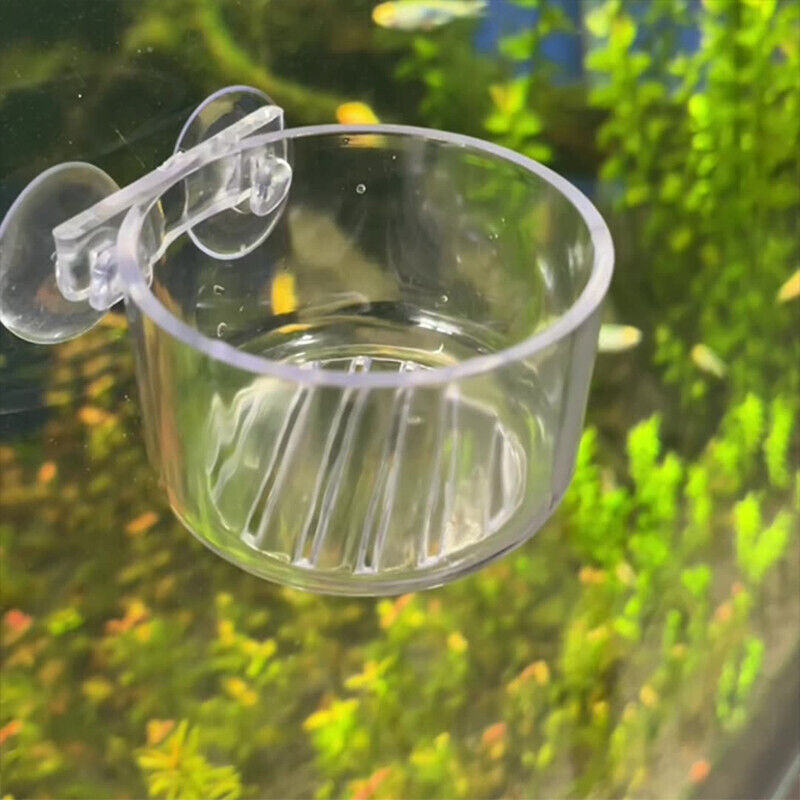 AQUARIUM LIVE WORM FEEDING DISH