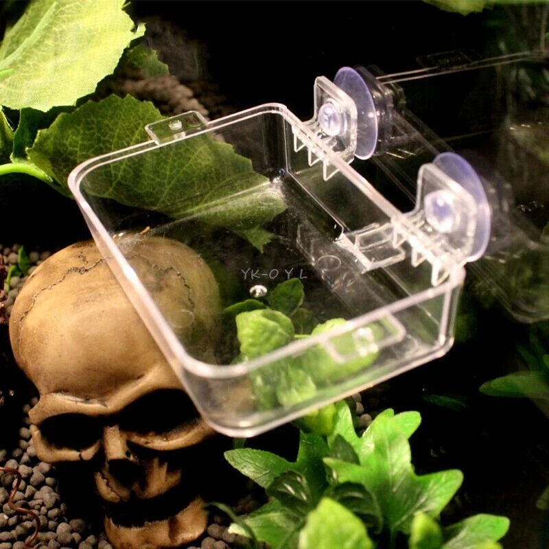 REPTILE LARGE SUCTION FEEDING DISH