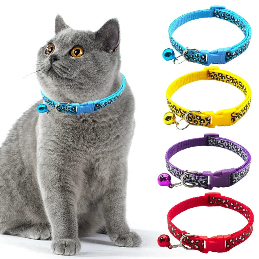 CAT / KITTEN LEOPARD PRINT COLLAR SAFETY COLLAR