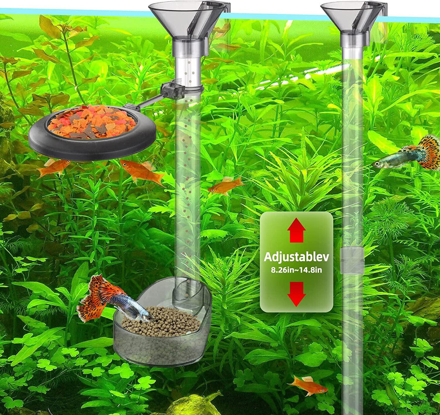 SEAHORSE / FISH FEEDING STATION