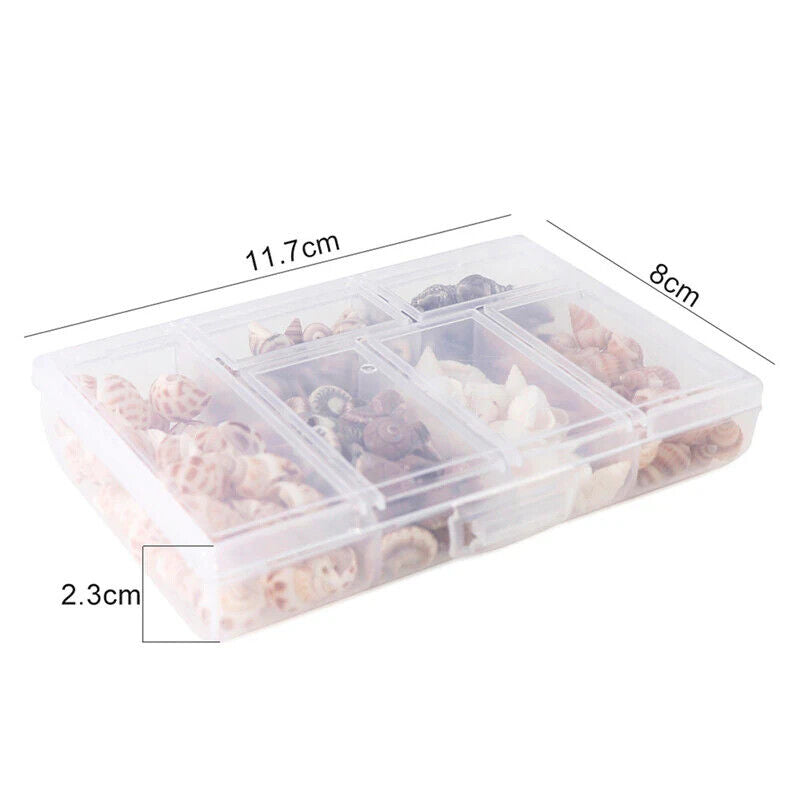 100 x SHELLS IN BOX FOR HERMIT CRABS