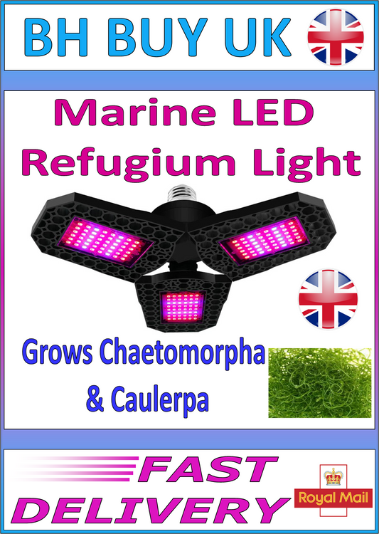 E27 MARINE REFUGIUM 8w LED LIGHT