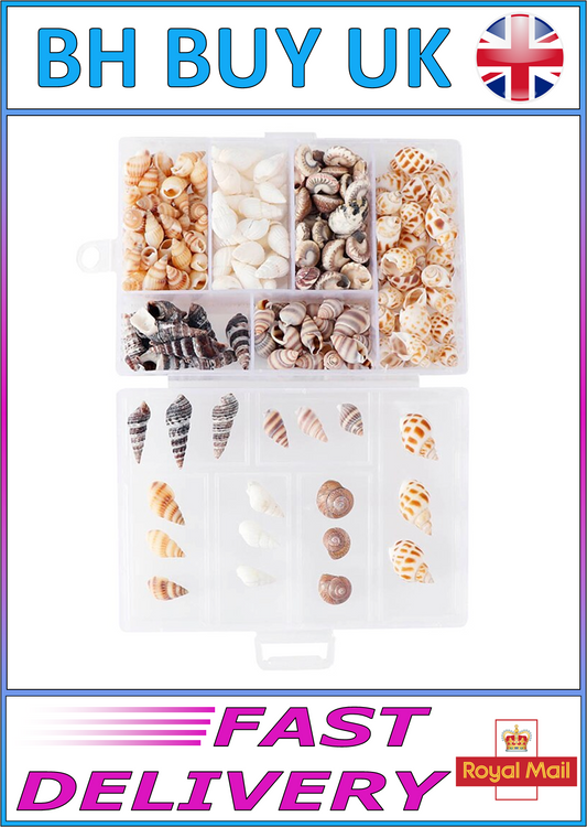 100 x SHELLS IN BOX FOR HERMIT CRABS