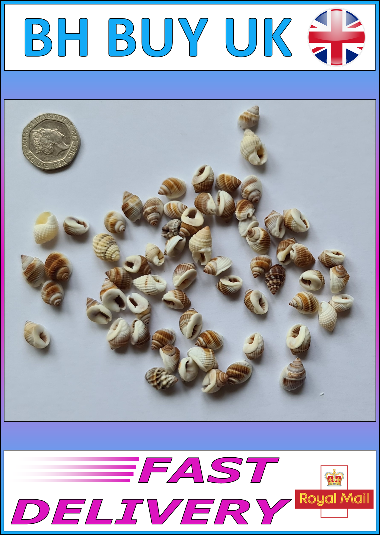 20g AQUARIUM SNAIL SHELLS O02)