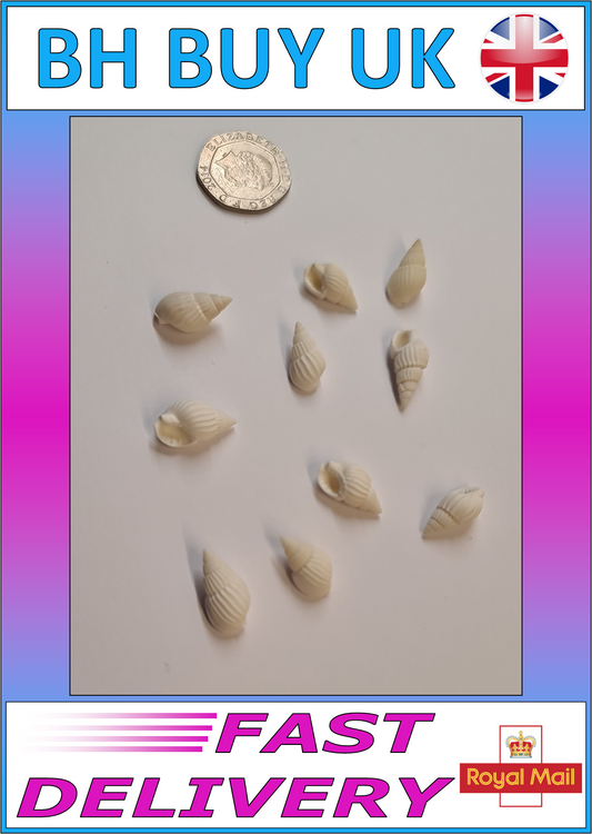 10 x WHITE AQUARIUM SNAIL SHELLS (M02)