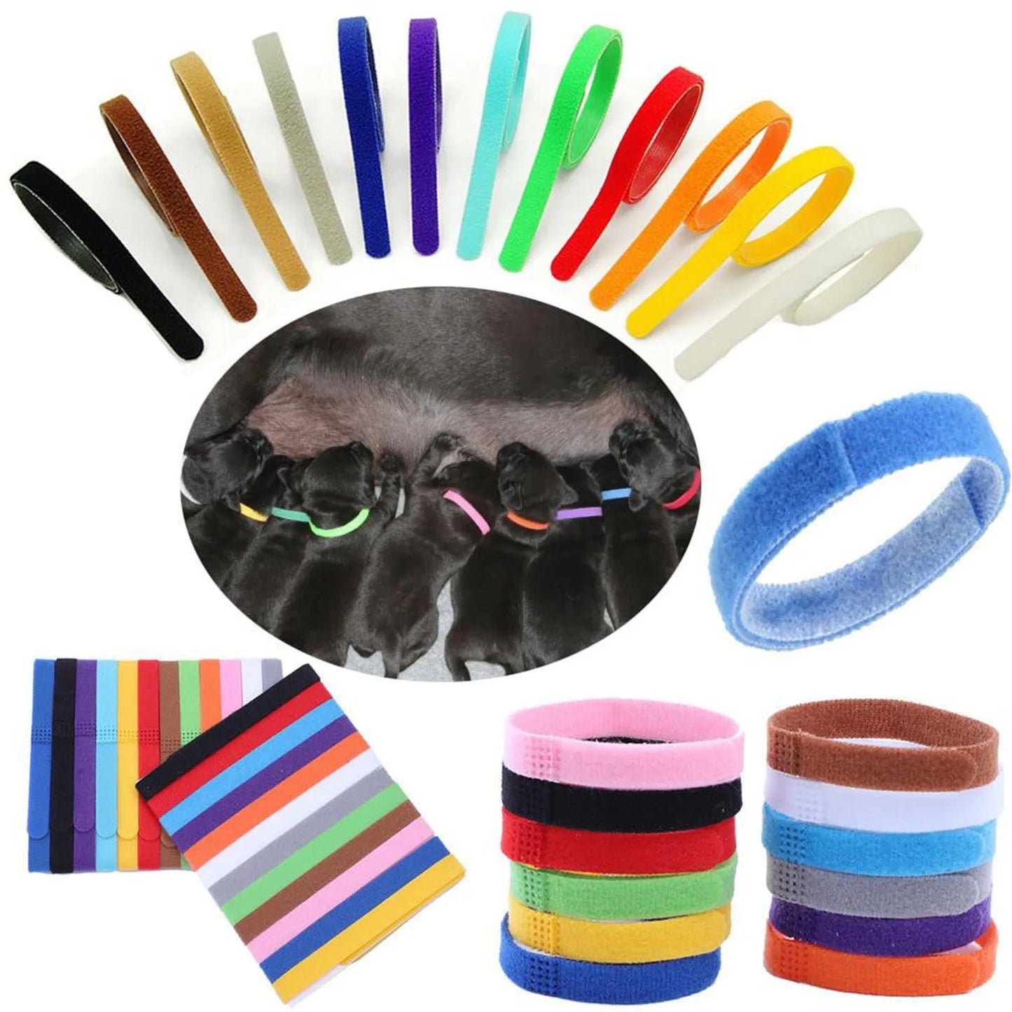 12 x PUPPY WHELPING COLLARS