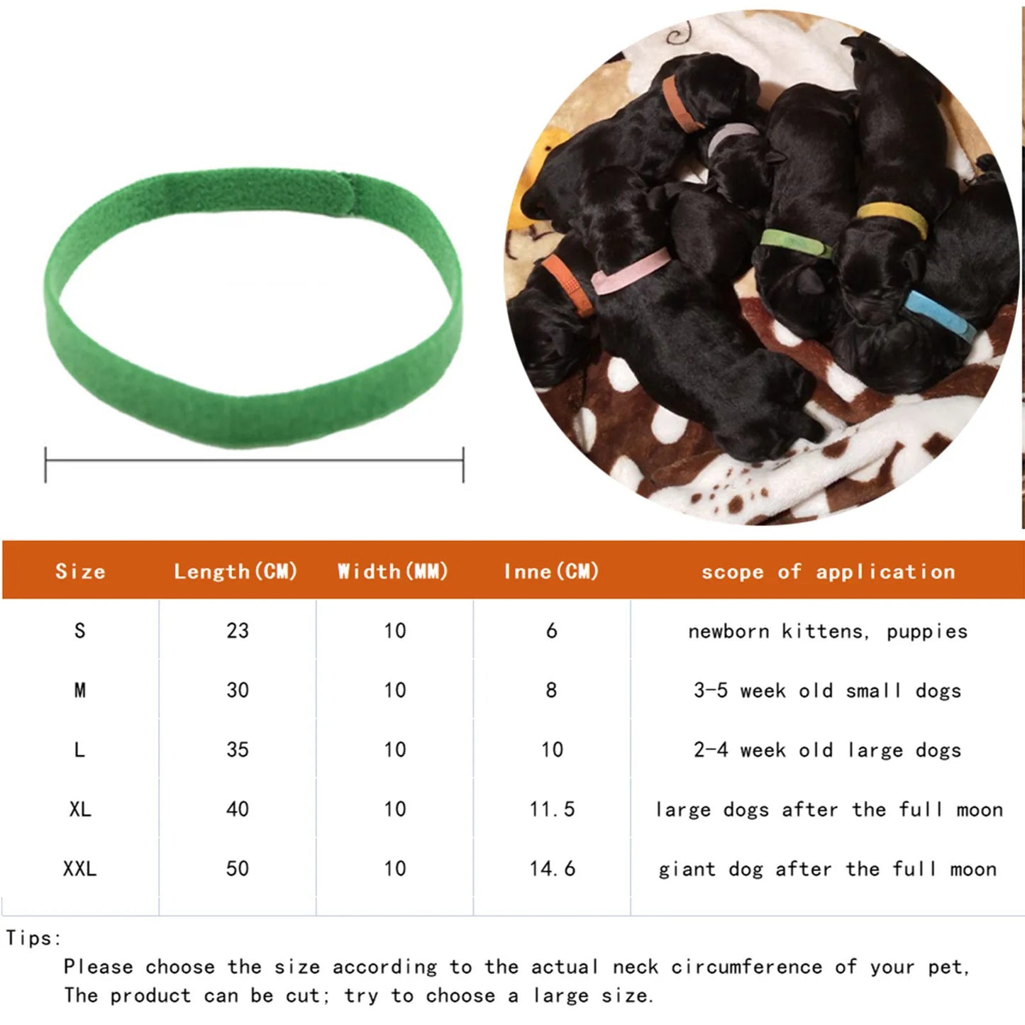 12 x PUPPY WHELPING COLLARS